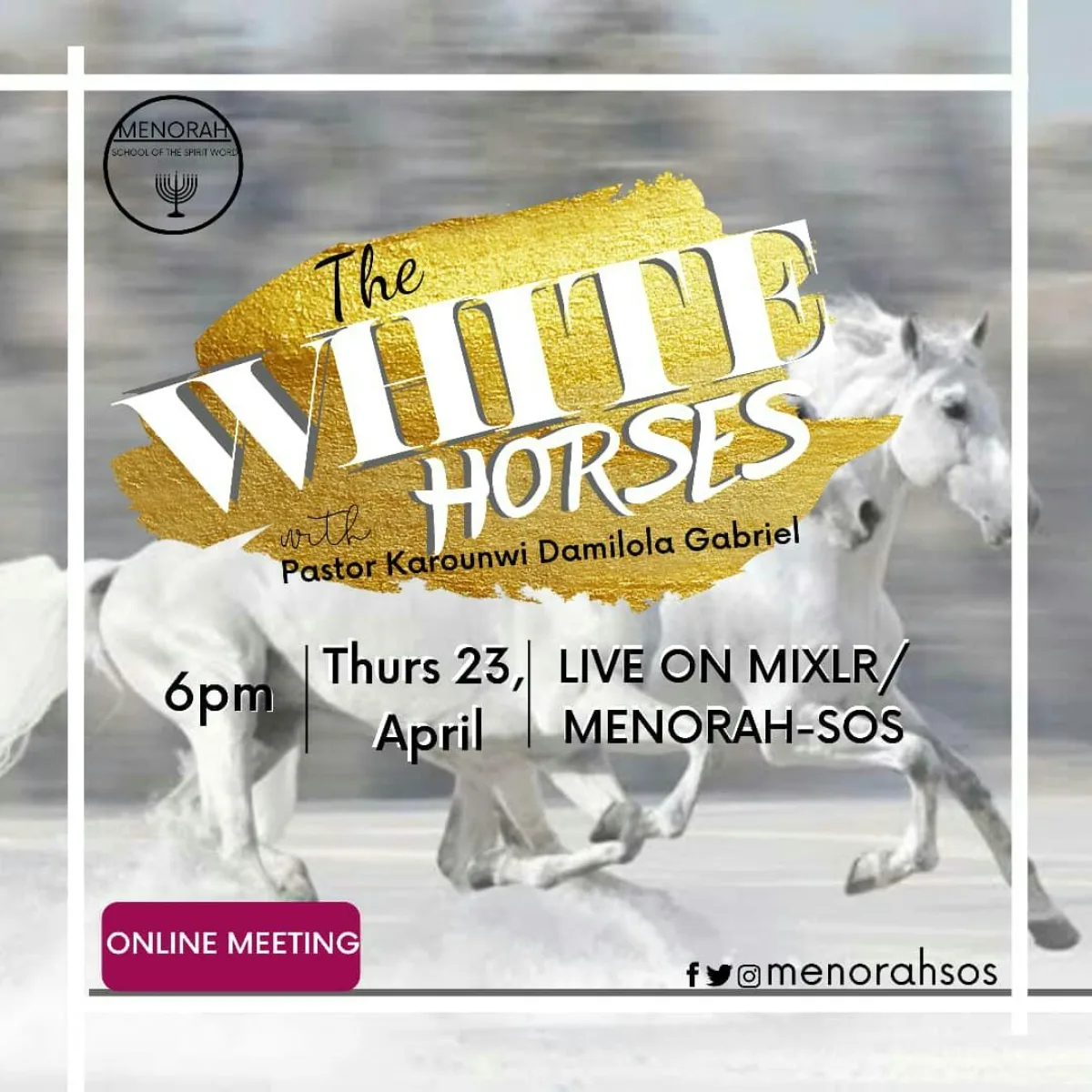 The White Horses - Pastor Karounwi Damilola Gabriel — Pastor Karounwi Damilola Gabriel